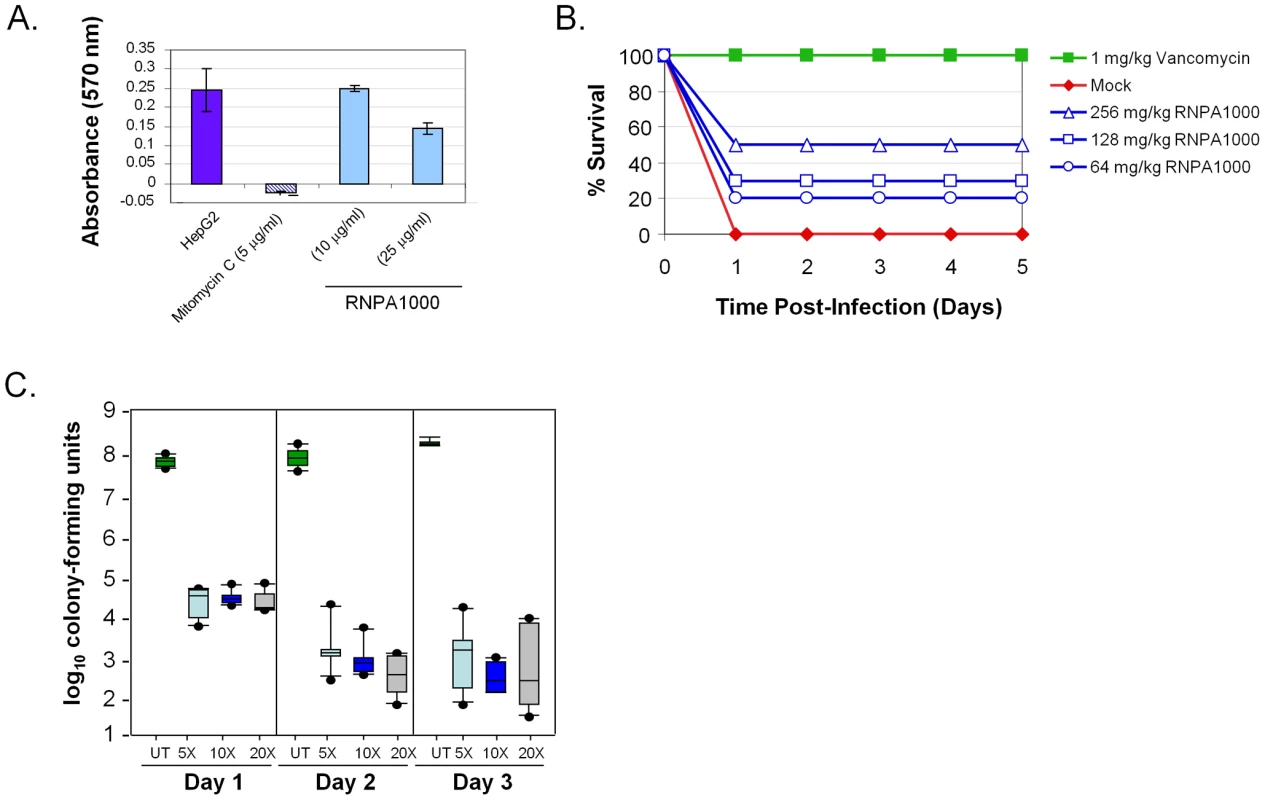 RnpA-inhibitor characterization.