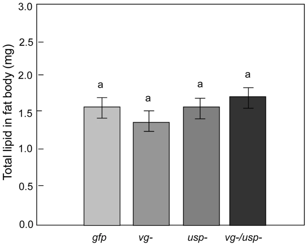 Gene knockdown effect on fat body lipid reserves.