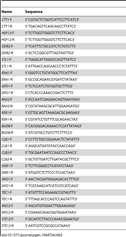 Primers used for qPCR in the study.