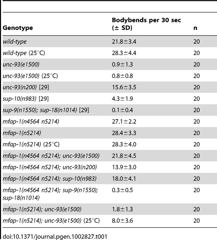 Suppression of the rubberband Unc phenotype by <i>mfap-1</i> mutations.