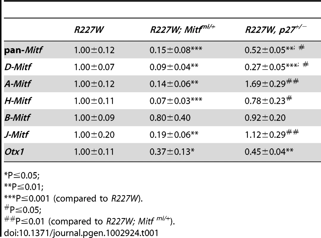 Relative retinal mRNA levels in <i>R227W</i> and compound mutants at E12.5.
