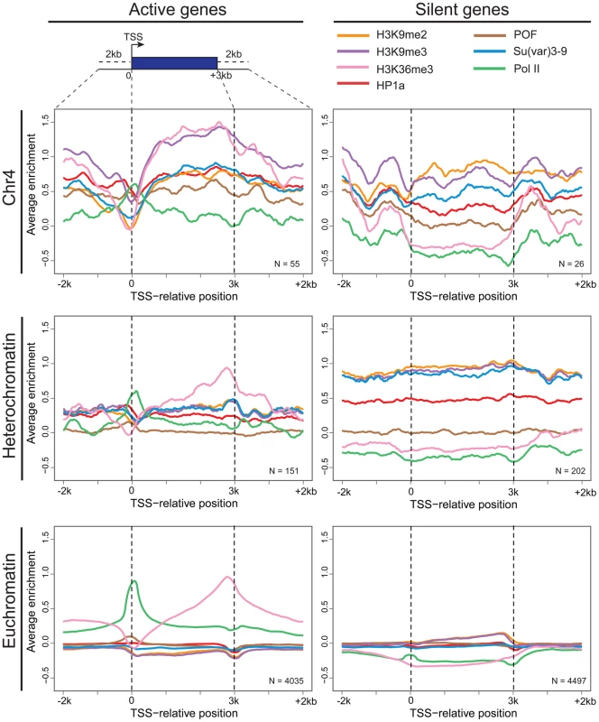 Metagene analysis shows a unique distribution of chromosomal proteins and histone marks on chromosome 4 genes.