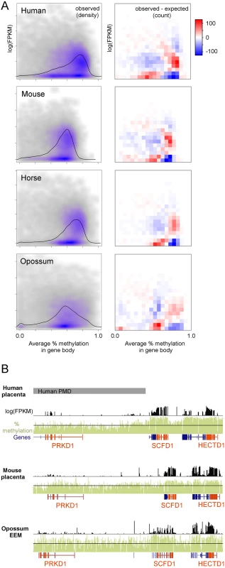 Regions of high methylation are enriched for actively transcribed genes.