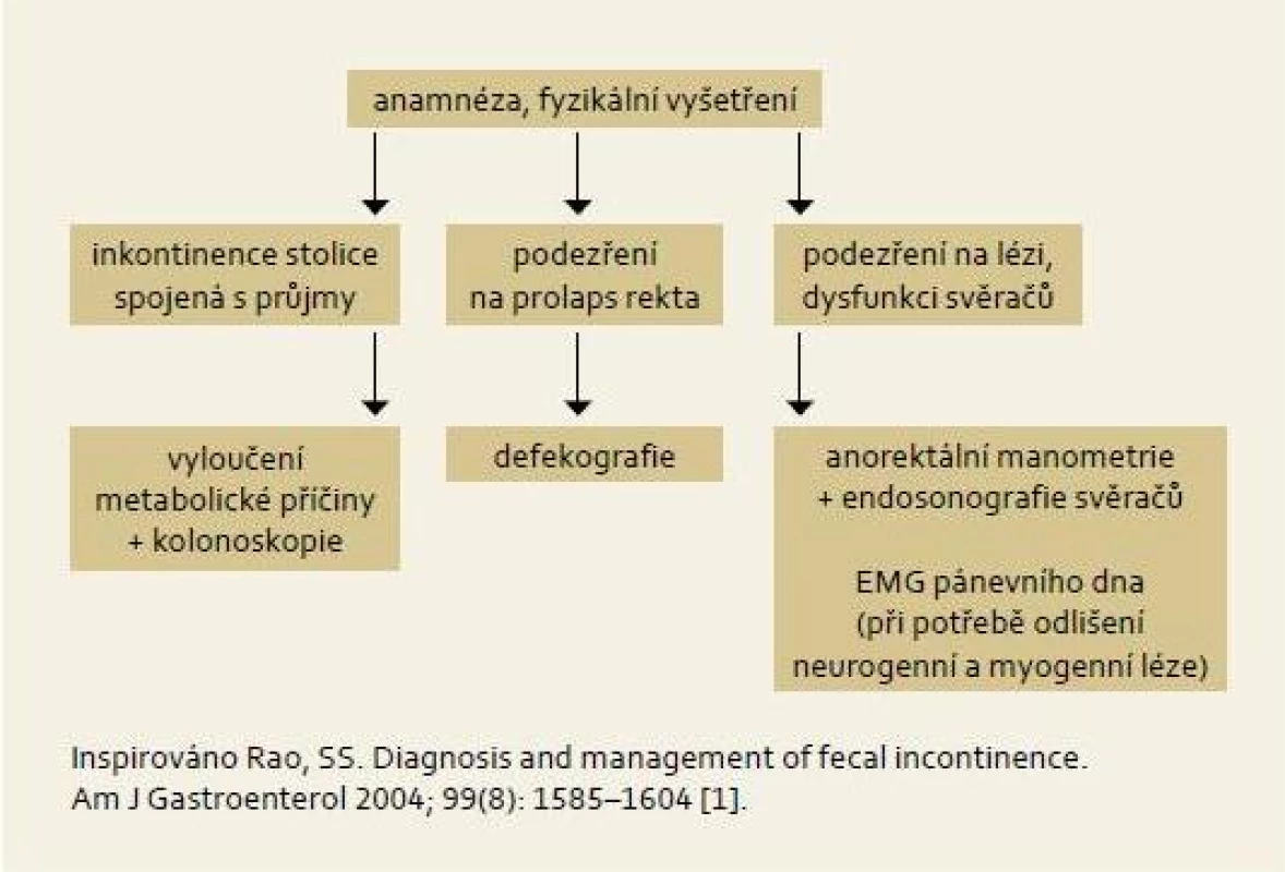 Vyšetřovací postup u pacientů s inkontinencí stolice.
Fig. 3. Algorithmic approach for patients with fecal incontinence.