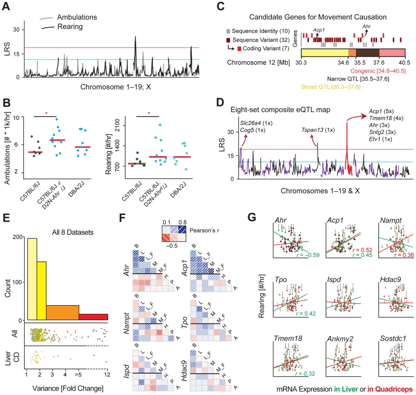 Identification of the movement QTG: <i>Ahr</i>.
