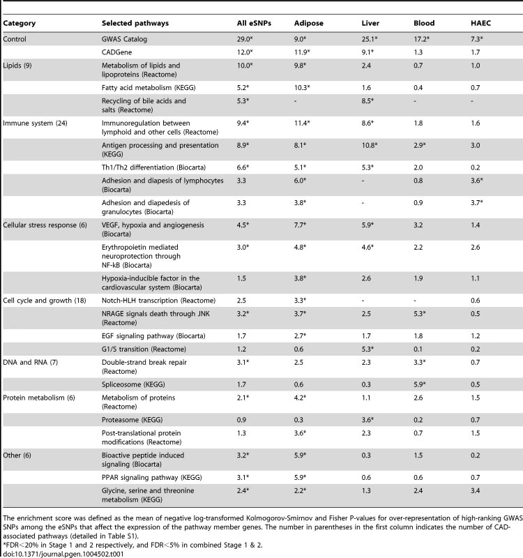 Knowledge-based grouping of canonical pathways that were significantly enriched for CAD genetic loci.