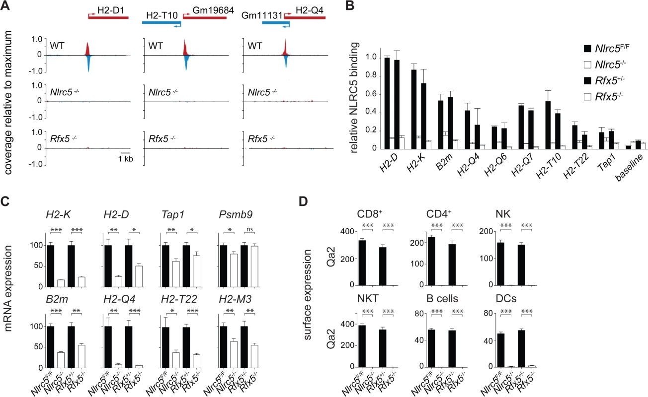 Identification of NLRC5 targets.