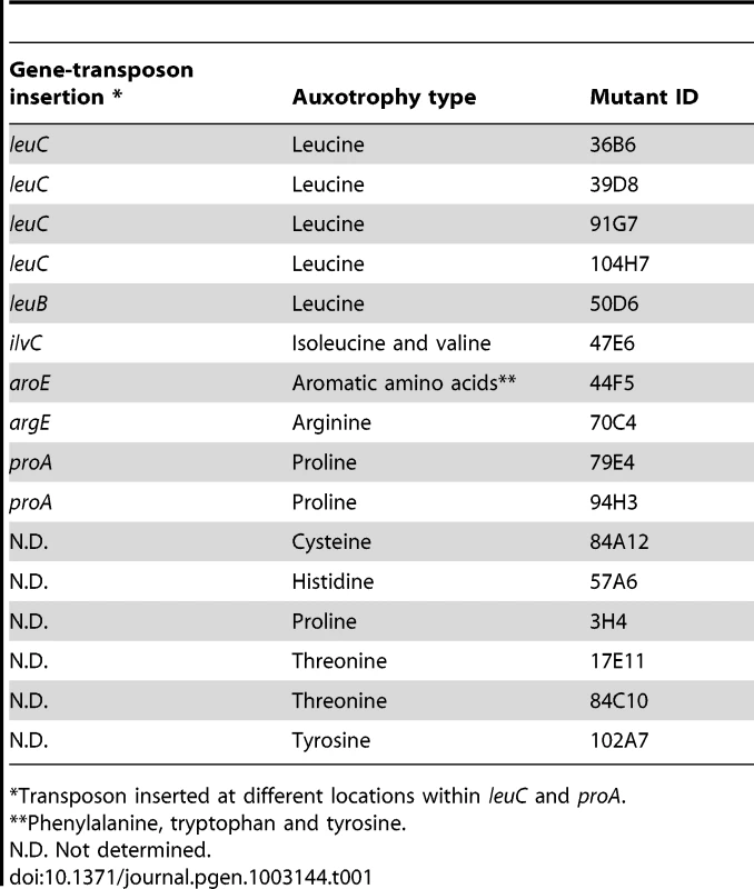 Auxotrophic transposon mutants with increased antibiotic tolerance in biofilms.