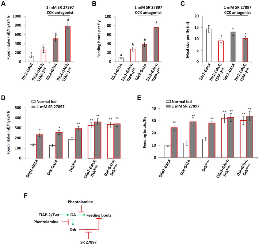 Dsk signals to inhibit feeding.
