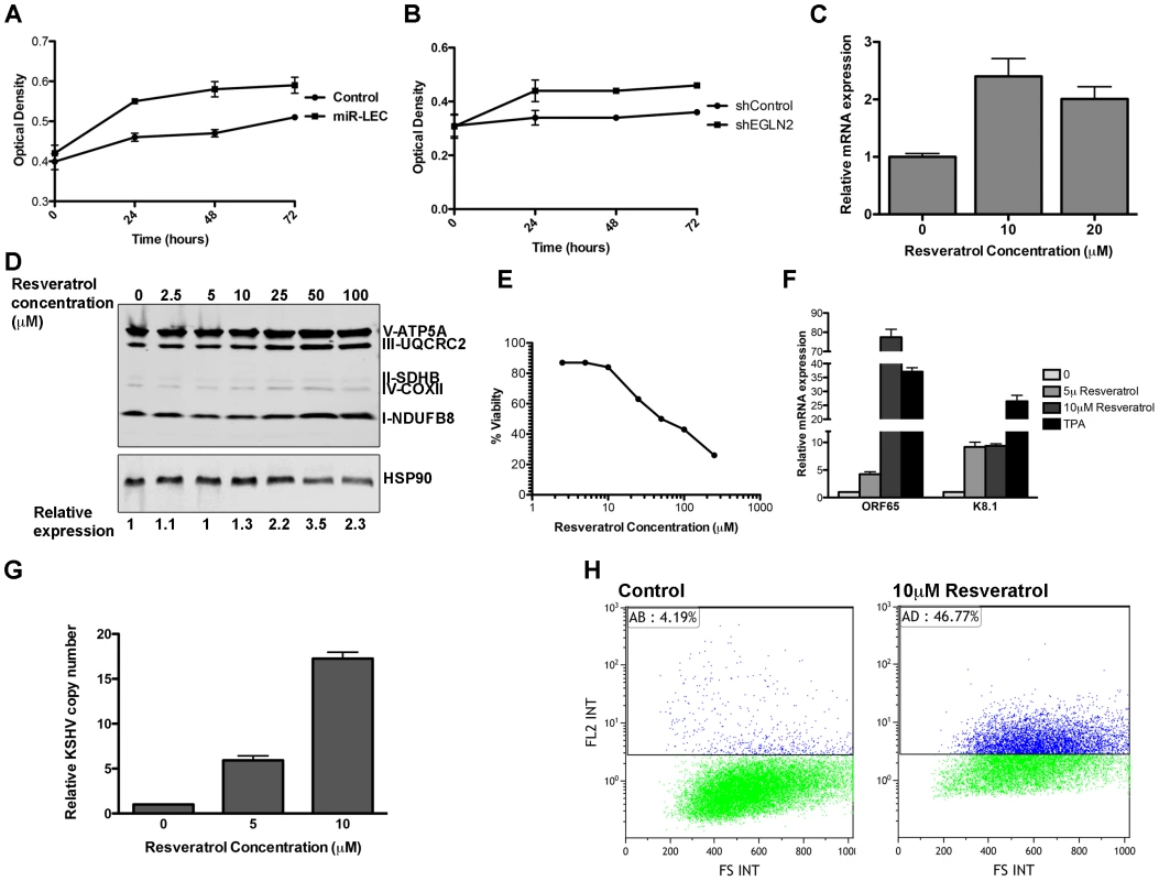 The miRNAs induced metabolic shift enhanced growth under hypoxia and is important for latency maintenance.