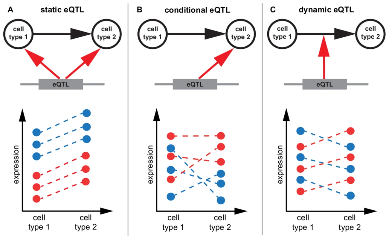 eQTL classification.