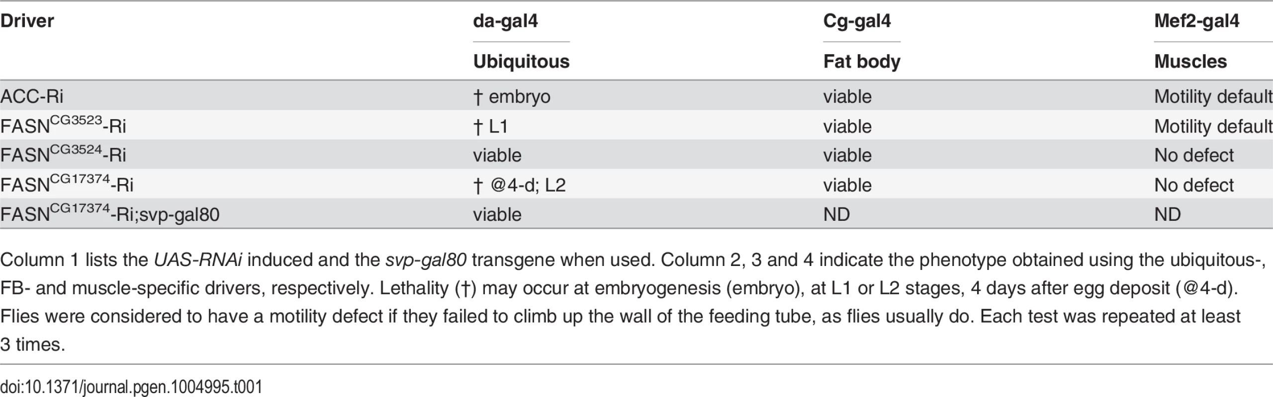 Genotypic analysis of <i>ACC</i> and of the 3 <i>FASN</i> genes using ubiquitous and tissues-targeted knockdown.