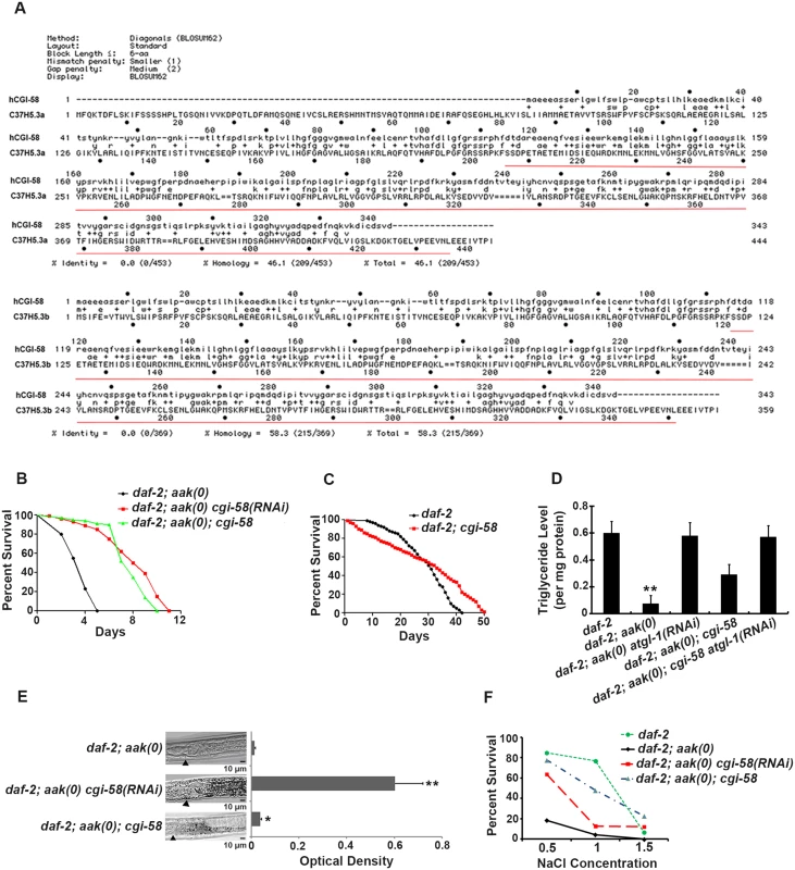 Elimination of <i>cgi-58</i> rescued both triglyceride levels and excretory defects in <i>daf-2; aak(0)</i> mutant Dauer larvae.