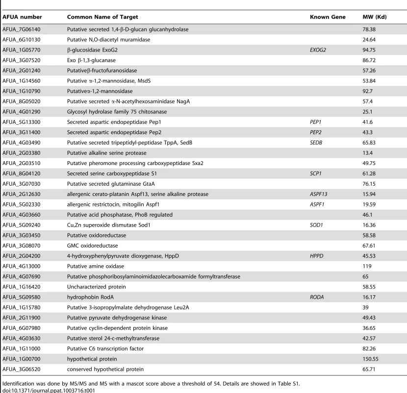 Proteins identified in the NaCl extract of <i>ags</i>Δ_<i>5T</i> and <i>ags</i>Δ_<i>n8</i> conidia.