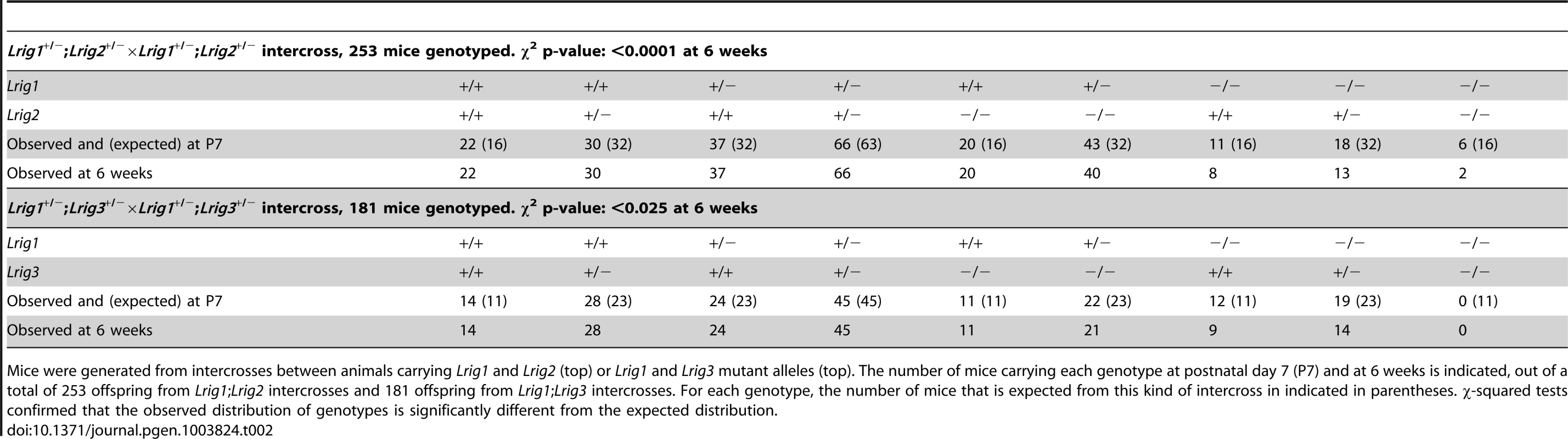 Genotype distribution of <i>Lrig</i> mutant animals.