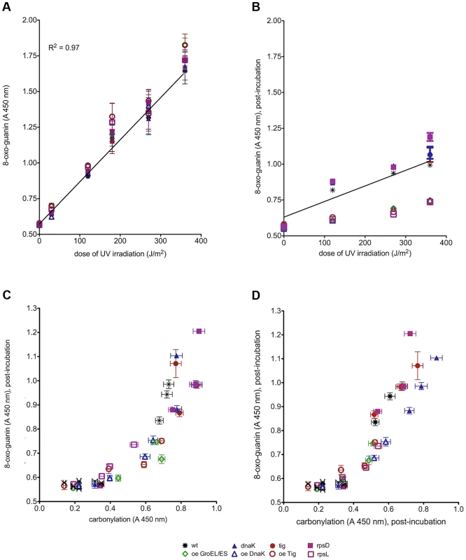 Protein damage reduces the efficiency of DNA repair.