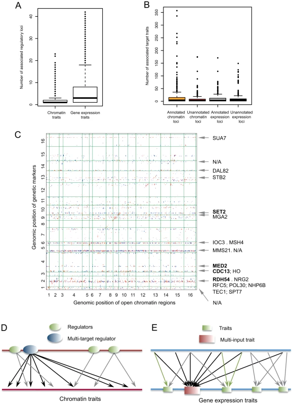 Characterization of <i>trans</i>-associations.