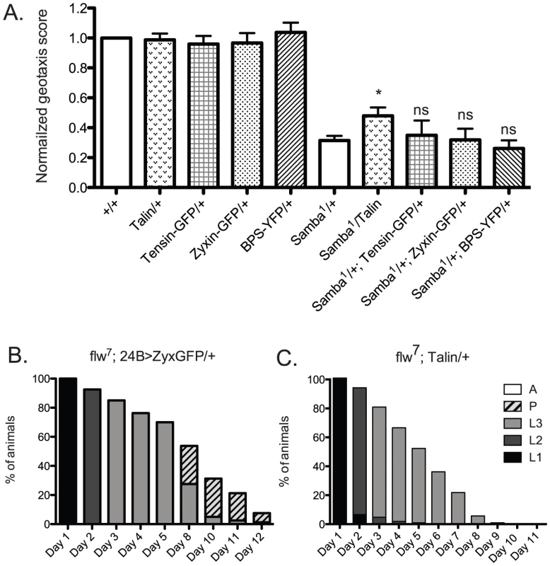Increased expression of a panel of IAC proteins has little effect on hypercontraction mutants.