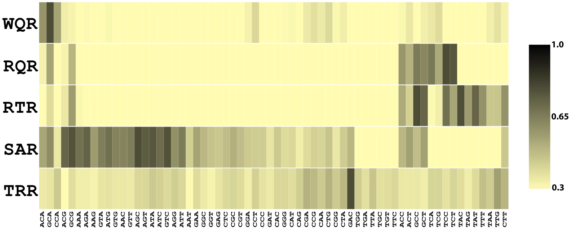 Binding affinities for 5 MarA variants to 64 binding sites.