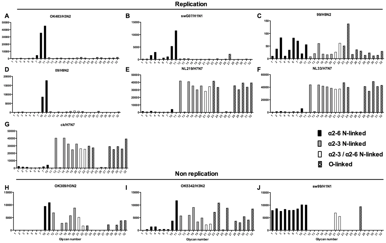 Glycan array analysis of viruses that showed no replication or replication in the lung explants.