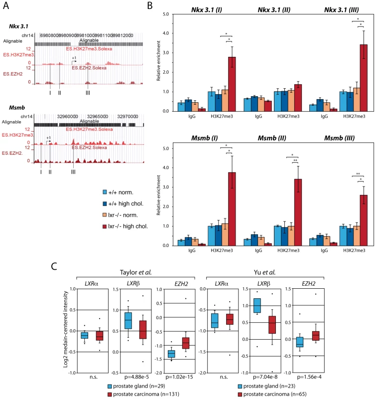Upregulation of <i>Ezh2</i> leads to increased enrichment of the H3K27me3 histone mark on <i>Nkx3.1</i> and <i>Msmb</i> promoter regions.