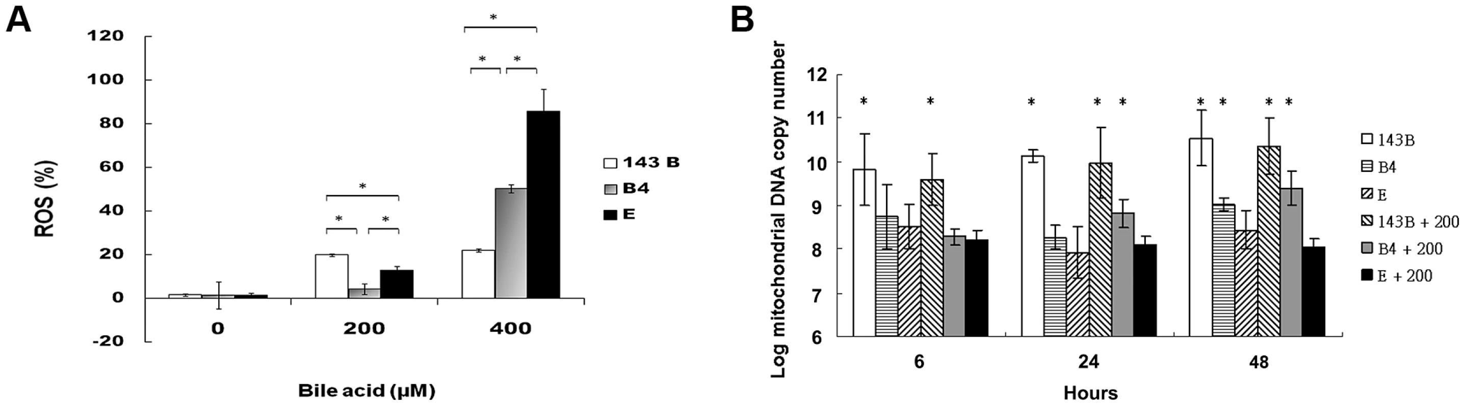 Measurement of reactive oxygen species (ROS) production and mitochondrial DNA copy number.