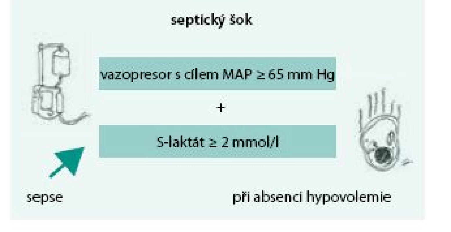 Septický šok dle SEPSIS-3