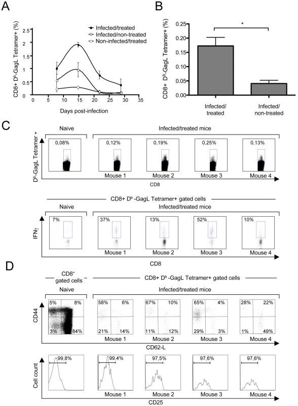 Primary CD8<sup>+</sup> T-cell responses against FrCas<sup>E</sup>-infected cells.
