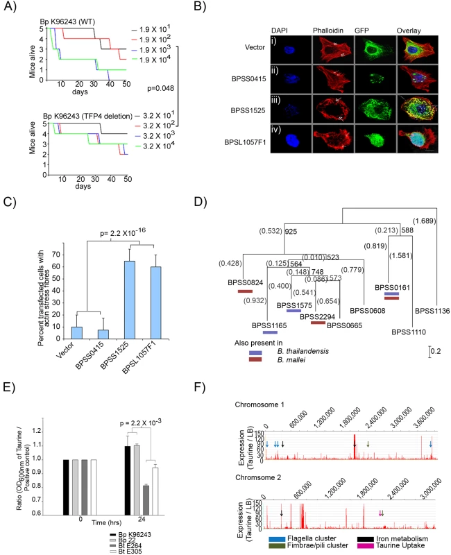Functional Analysis of Positively Selected Genes.