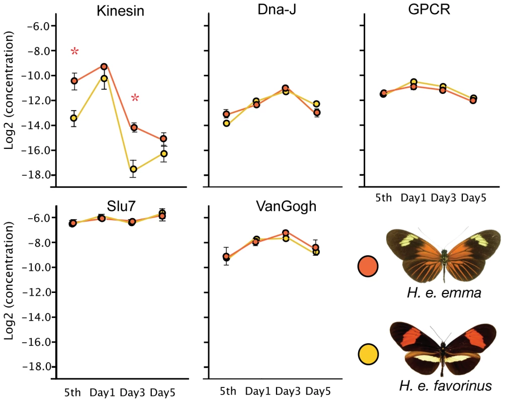 Quantitative PCR of <i>D</i>-interval candidate genes implicates <i>kinesin</i>.