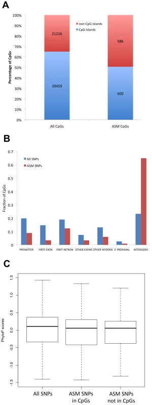 ASM is often found in regions that are outside of CpG islands, away from genes, and that exhibit low evolutionary conservation.