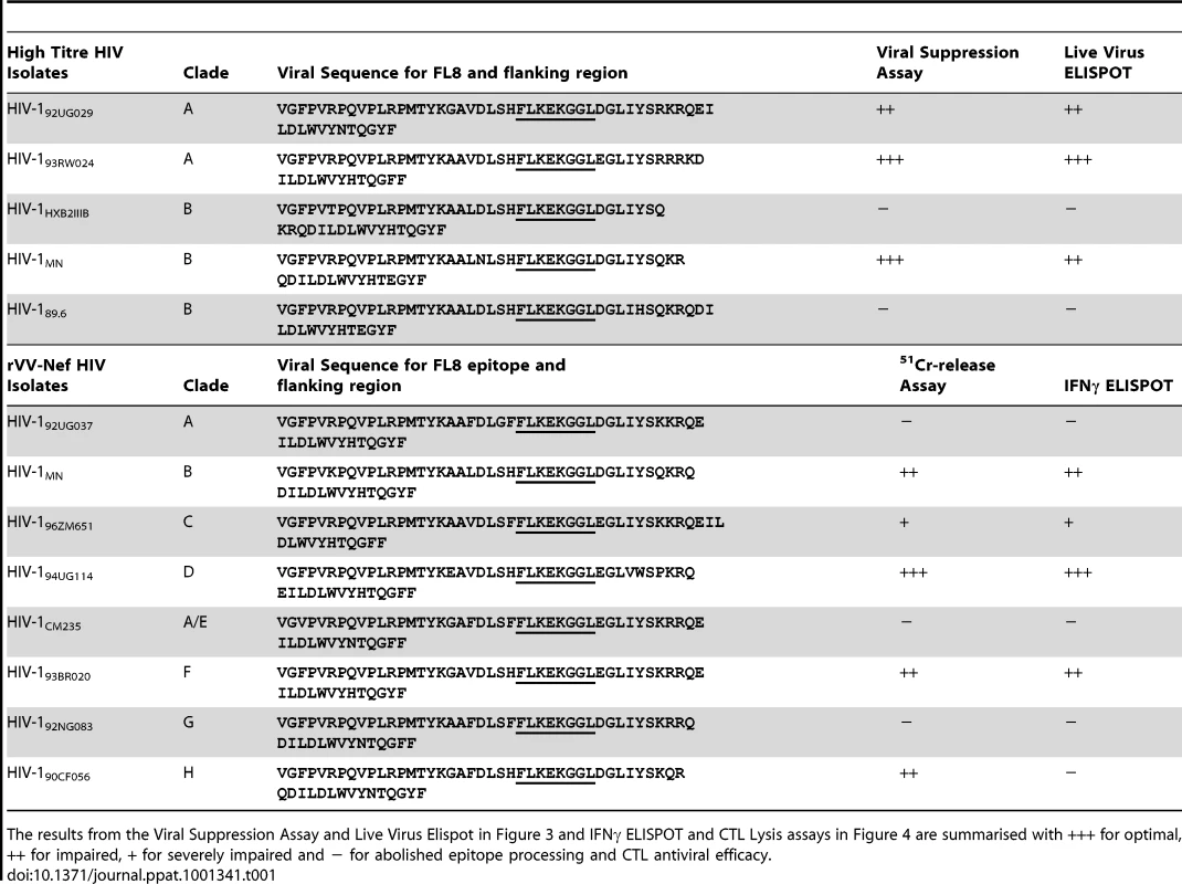 Despite the identical FL8 epitope, only a small proportion (23%) of these HIV-1 isolates induced optimal CTL recognition and antiviral efficacy.