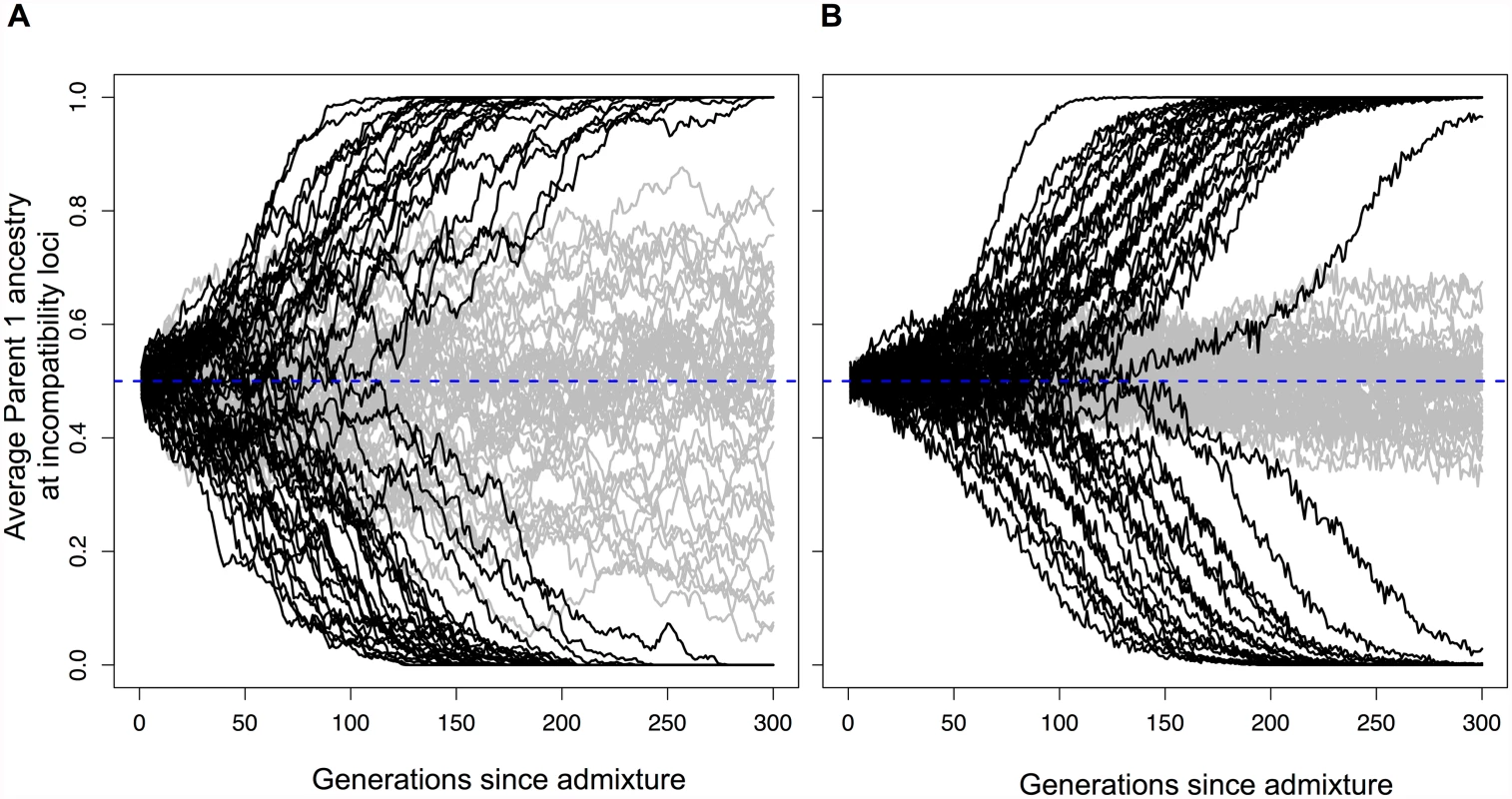Hybrid populations rapidly fix for hybrid incompatibility locus pairs.