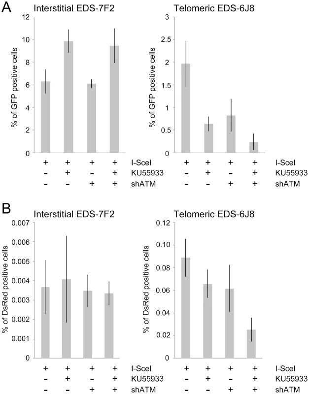 The effect of ATM deficiency on NHEJ and GCRs at interstitial and telomeric DSBs.