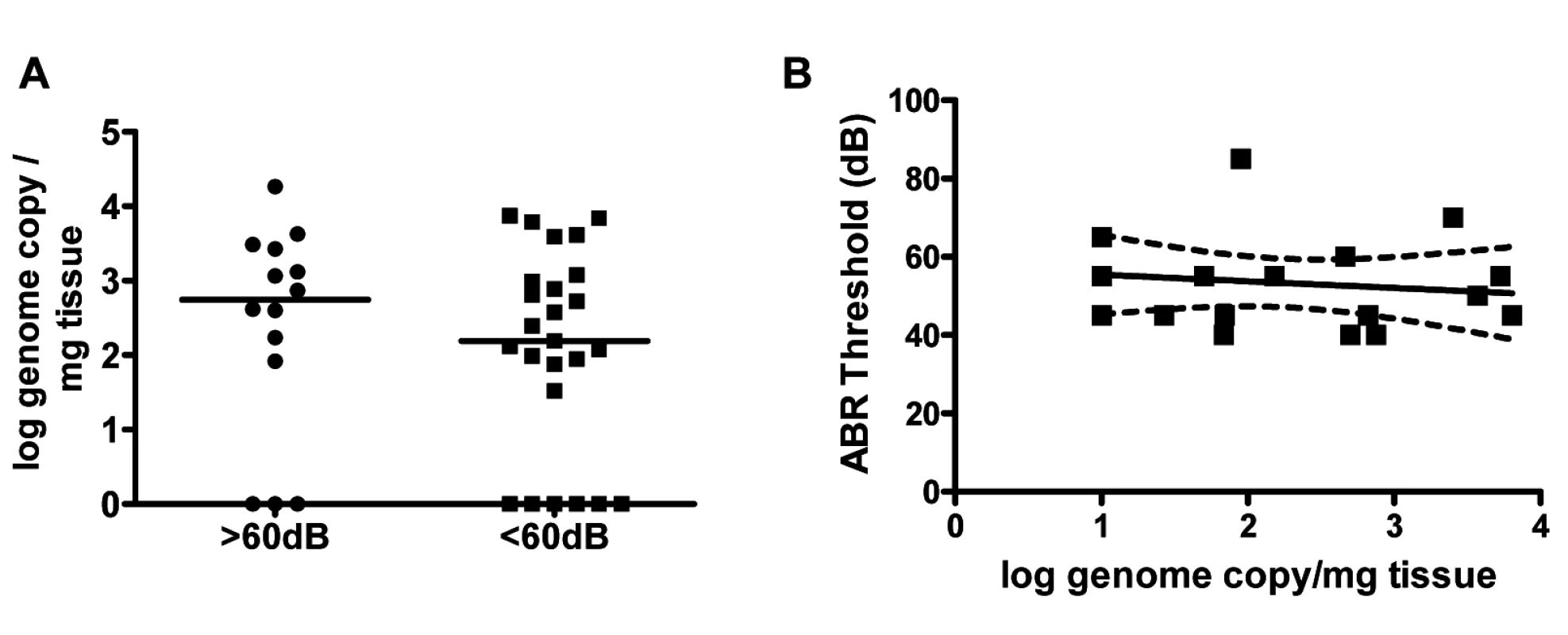 Hearing loss in MCMV infected mice is not correlated with virus load in the cochlea.