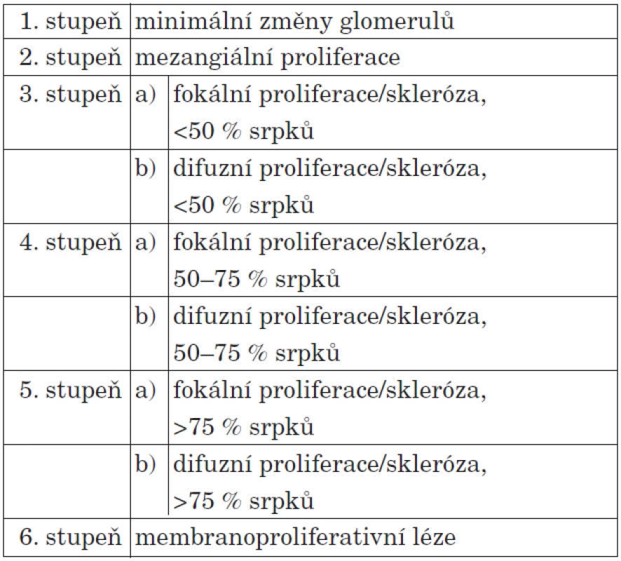 Histologická klasifikace HSP nefritidy.