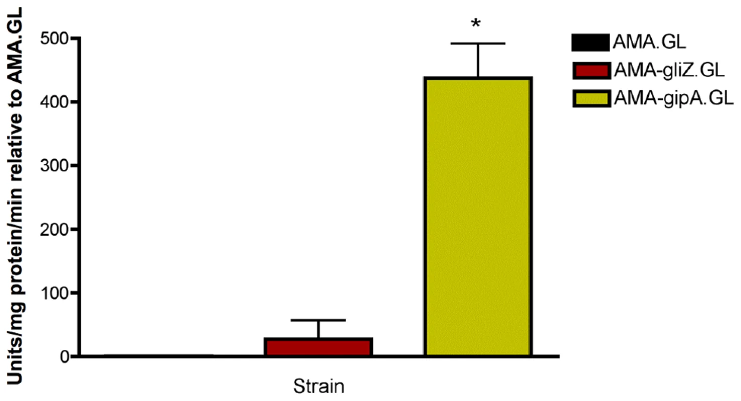 β-galactosidase assays for <i>gliZ</i> and <i>gipA</i> high-copy expression strains.