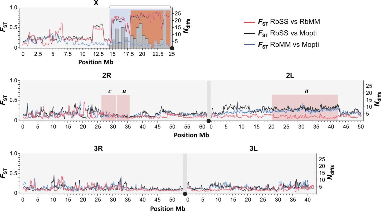 Genomic structure of recombinant strains.