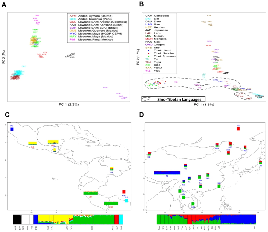 Individual ancestry estimates.