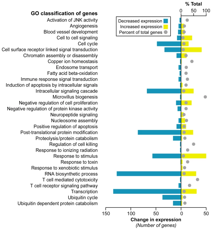 Selected gene classifications according to biological processes.