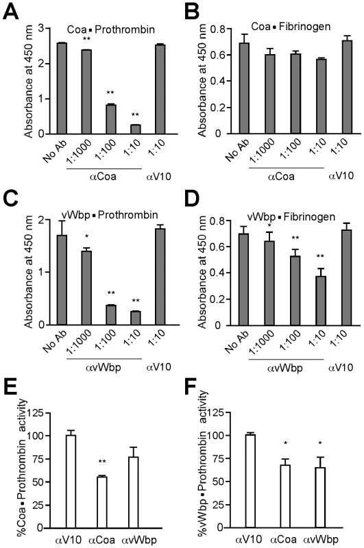 Biological effects of antibodies directed against staphylococcal coagulases.