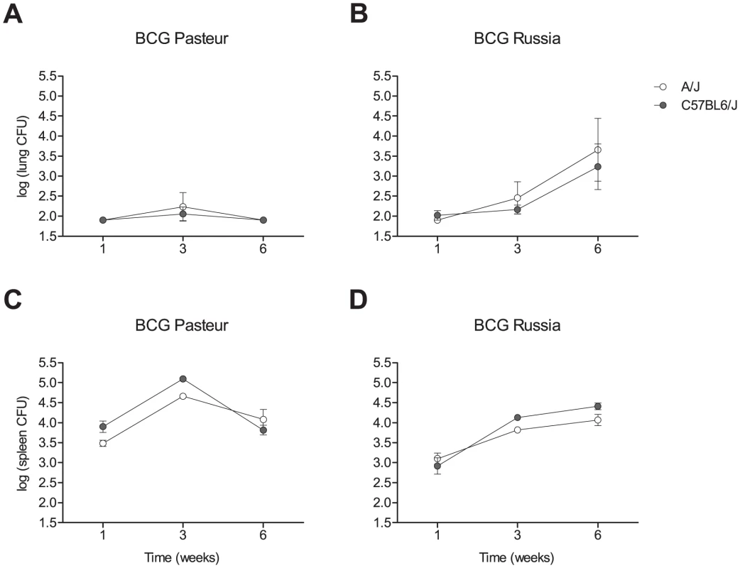 Replication of BCG in the lungs and spleen of A/J and C57BL/6J mice.