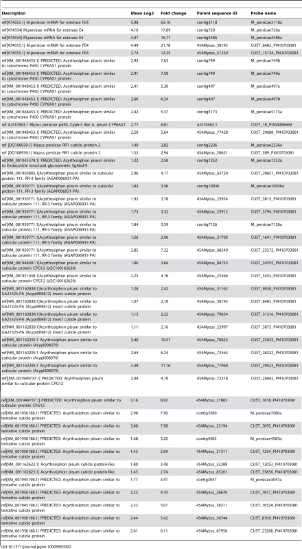 Selected genes identified by microarray as significantly differentially transcribed between the insecticide resistant <i>M. persicae</i> clone 5191 and the susceptible strain 4106a.