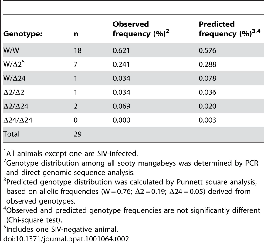 Observed and predicted genotype frequencies in Sooty Mangabeys housed at the TNPRC<em class="ref">1</em>.