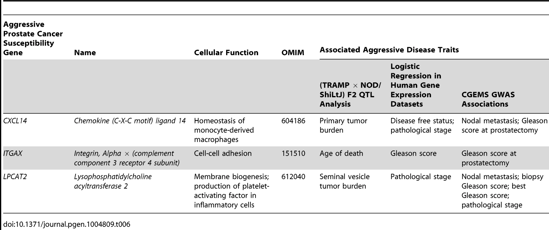 High priority aggressive prostate cancer susceptibility genes and associated aggressive disease traits form each element of this study.