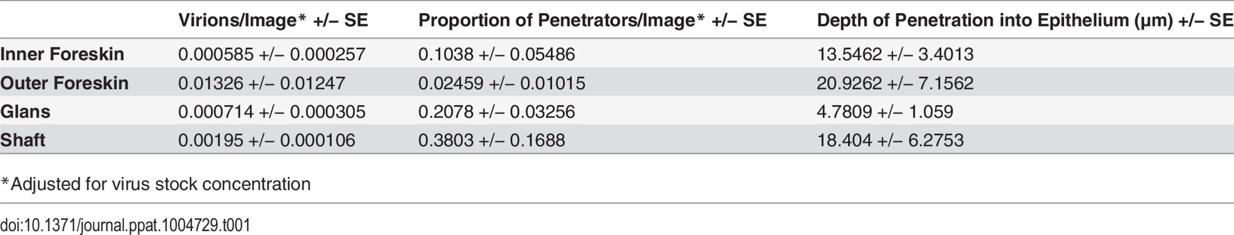 PA GFP HIV-1 in macaque penile tissues <i>in vivo</i>.