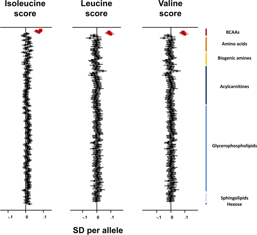 Association of branched-chain amino acid genetic scores with metabolites in the Fenland study.