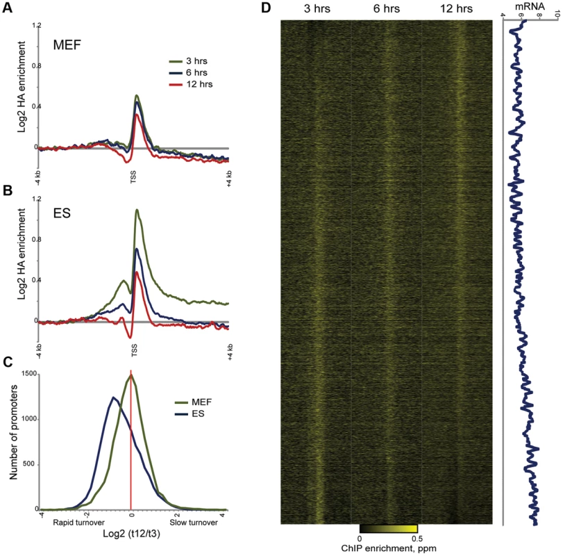 Altered MacroH2A2 dynamics in MEFs.