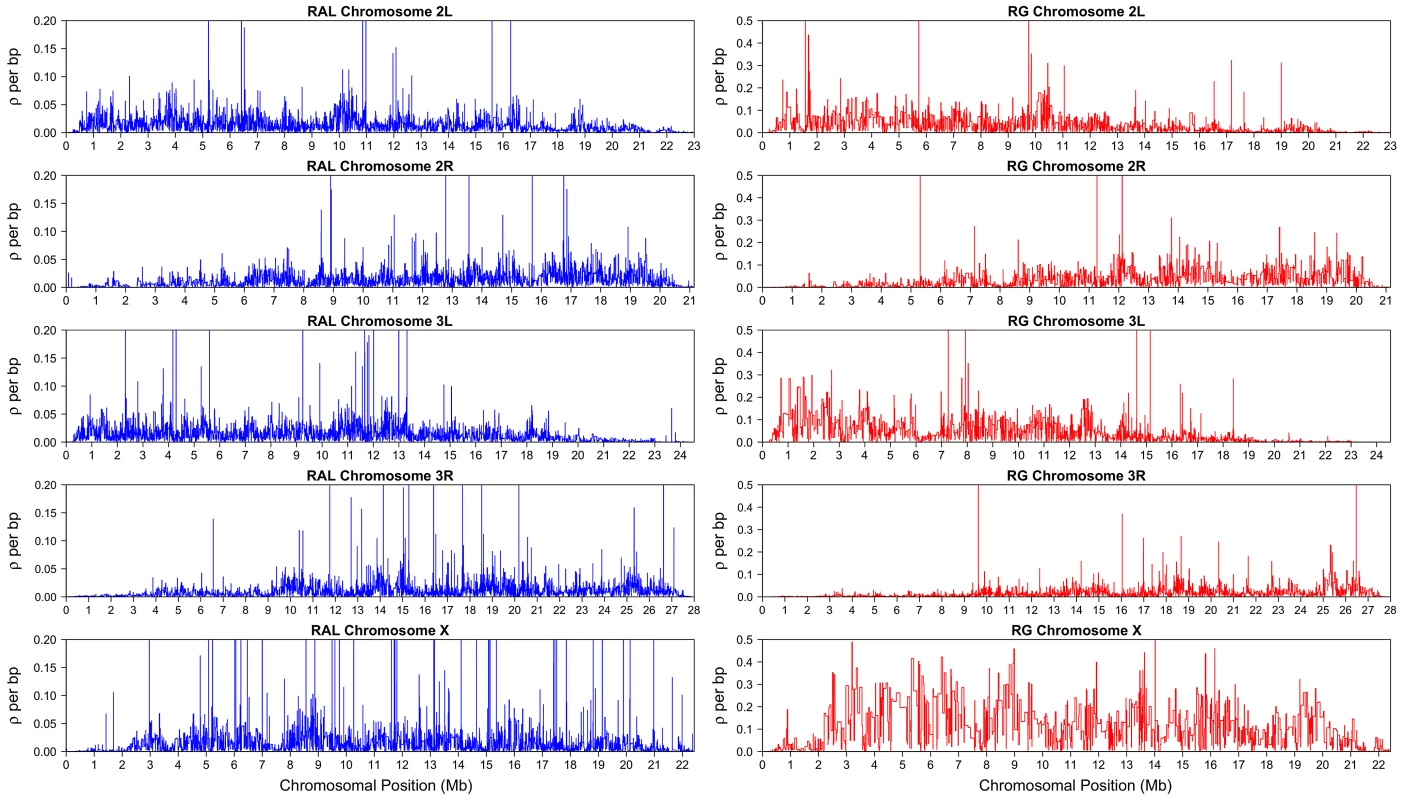 LDhelmet's estimated fine-scale recombination maps for RAL and RG populations of <i>D. melanogaster</i>.