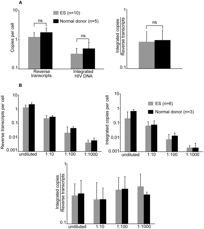 ES CD4<sup>+</sup> T cells are not resistant to <i>in vitro</i> infection.